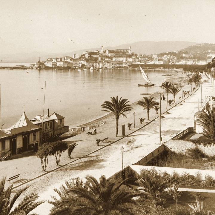 Le boulevard de la Croisette, Cannes